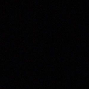 Meet your Posher, Elvis